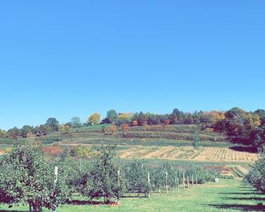 Image of outdoor scenery.